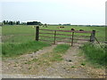 Cattle field on Langary Gate Road in PE12 0PR