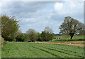 2011 : Fields and hedgerows near Western Farm in BA4 4QJ