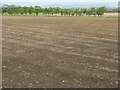 Newly tilled field at Toxsidehill in EH23 4SY