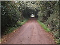 Tree lined lane south of Manor Farm in DH1 2QE