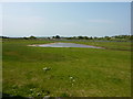 Pond and grassland, Penmon in LL58 8RT
