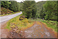 Gated forest road in Ratagan Forest in IV40 8HR