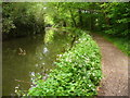 Basingstoke Canal by Dogmersfield in RG27 8ST
