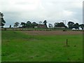 View across fields to Weston Wood in ST20 0NZ