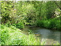 Fonthill Stream, Tisbury in SP3 6QA
