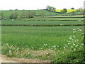 Fields near Jeff's Farm in OX17 2EL