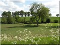 Countryside just south of Borley Green in Borley