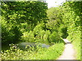 Basingstoke Canal Through Coxmoor Wood in GU51 5ST