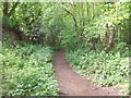 Path in Cross Holts Woods in LN6 0PU