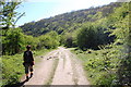 Path through Monsal Dale in Brushfield