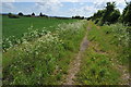 Track near Tothall Farm in B49 5NY