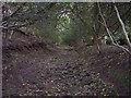 The sunken track between Long Hill Farm and Ball House in BB8 7LL