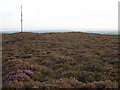 Heathery Summit and TV Mast in LA17 7TT