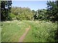 Path on Putney Heath in SW15 3AT