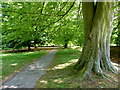 Footpath from the main entrance to Mote Park, Maidstone in ME14 5SY