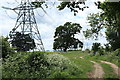 Transmission lines beside Cow Gallery Wood in CB21 4UF