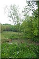 Pond in Tiptree Parish Field in CO5 0GW