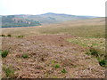 Moorland below the Mentieth Hills in FK8 3RD