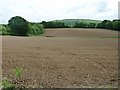 Recently prepared fields by Glasshouse Lane in GU28 9PA
