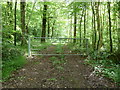 Gated entrance to Glasshouse Copse in GU28 9PA