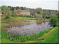 The pond at Felley Priory Garden in NG16 5FJ
