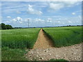 Footpath, Sovell Down, Gussage St Michael in BH21 5LB