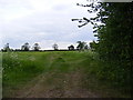 Footpath to Foulsham Road in NR20 5PY