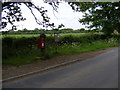 The Village Postbox & Themelthorpe Village Notice Board in NR20 5PU