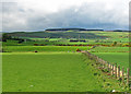 Farmland near Tillyochie in KY13 0NR
