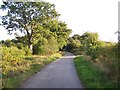 Bridleway Looking North in WS11 9NX