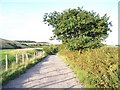 Bridleway To Heath Hayes in WS12 3HZ