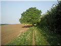 Footpath towards Upper Ruxley in BR8 7WD
