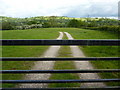 Gate and fields near Red House Farm in DE6 3FP