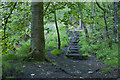 A stepped path in Walker Fold Wood taken from by the footbridge in BL1 7PB