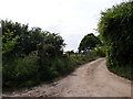 Three Stiles Lane Bridleway to Felixstowe Road in IP12 4RY