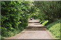 Path on Putney Heath in SW15 4NP