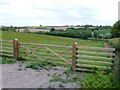 New Gate on Beaminster Down in DT8 3SG