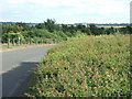 Heath Road between Exning and Newmarket, Suffolk in CB8 7HW