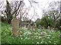 The old churchyard, Kingston, Dorset in BH20 5LJ
