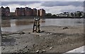 London : Battersea - River Thames in SW6 2DD