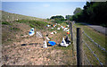 Colourful Bags by the Cycleway in OX11 7HB