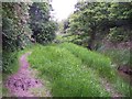 Footpath and ditch near Hythe Village Marina in SO45 6AA