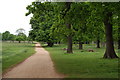 Cycle track in Richmond Park in SW14 8BQ