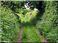 Farm track, Edgeborough Farm in TA2 6SP
