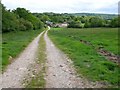 Track to Buckham Mills in DT8 3JB