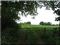 Gates on Cranbrook Road in TN17 4EU