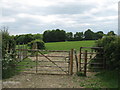 Gates near Crit Hall in TN17 4EU