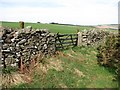 Dyke and gate, Brockholes in TD11 3RL
