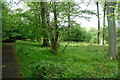 Bridleway in Mousell's Wood in RG9 6NR