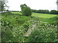 Footbridge over Furnace Mill Stream in TN18 5AX